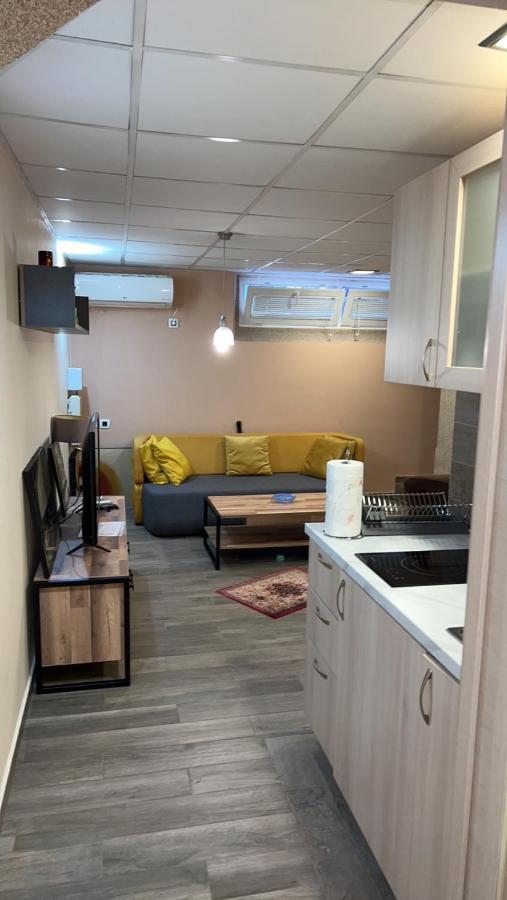 Ribnica Lägenhet Podgorica Exteriör bild