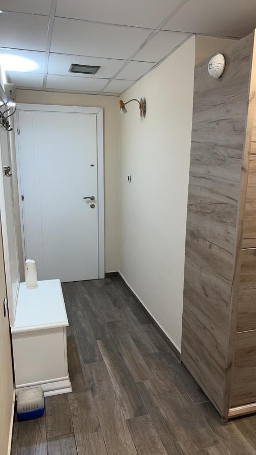 Ribnica Lägenhet Podgorica Exteriör bild
